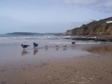 line-up-beach