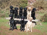 Group photo of 9 Marchstone Labs!!