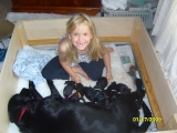 Katherine helping with the puppies