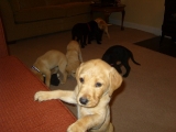 Melvin with his siblings in the background