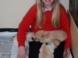 Chief Puppy Carer!