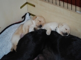 how cute