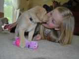 Puppy capers! 