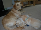 Melvin and his brothers