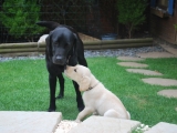 kisses Mummy!