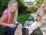Katherine and Melvin keeping an eye on the pups!