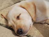 tired boy!