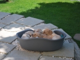 time to chill out and SLEEP!