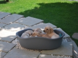 sleepy time!