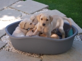 Whats that noise?