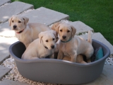 Come on gang - what was that?
