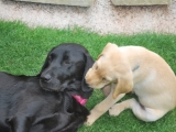 Ben with his Mummy having kisses