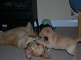 playtime with big brother Melvin