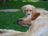 Peaches with Melvin 7.5 weeks