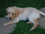 Ben 7.5 weeks