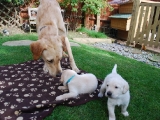 Melvin taking on the duties of Mum!
