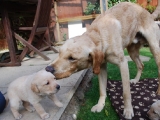 Melvin adores his little sister!  