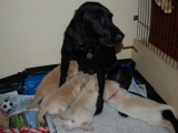 feedtime at four weeks old