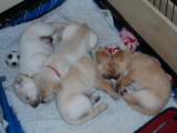 Sleeping time