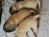 30 days old TEATIME!