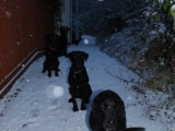 snow joke this!