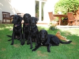 group photo with an additional member