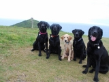 Molly, Stanley, Melvin, Archie and Charlie 