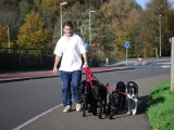 Dave with six dogs