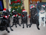 Christmas 2009