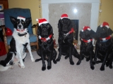 Christmas 2009