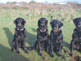 Molly, Archie and their kids Holly and Stanley