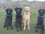 Molly with her kids!