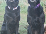 Mother and Daughter