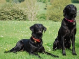 Mother and Son
