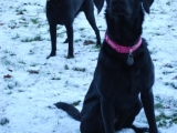 Molly and Stanley
