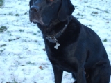 Charlie