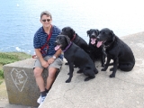 Dave and the Gang