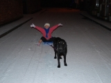 Charlie Snow Dog! 