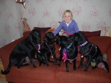 At the end of the dog show 