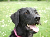 Molly