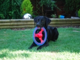 Stanley with his birthday present