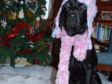 Molly