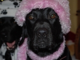 Molly