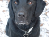 Charlie