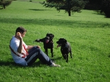 Ready...Molly and Archie....