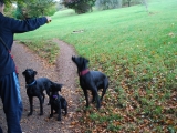 Come on then - throw the ball!