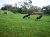 in action!