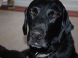 Charlie