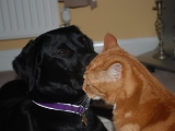 Stanley and Lucy