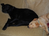 this is me with my stepdad Archie!!